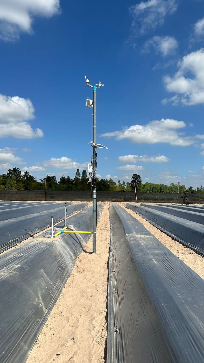 Fasal Central Unit installed over mulched vegetable beds