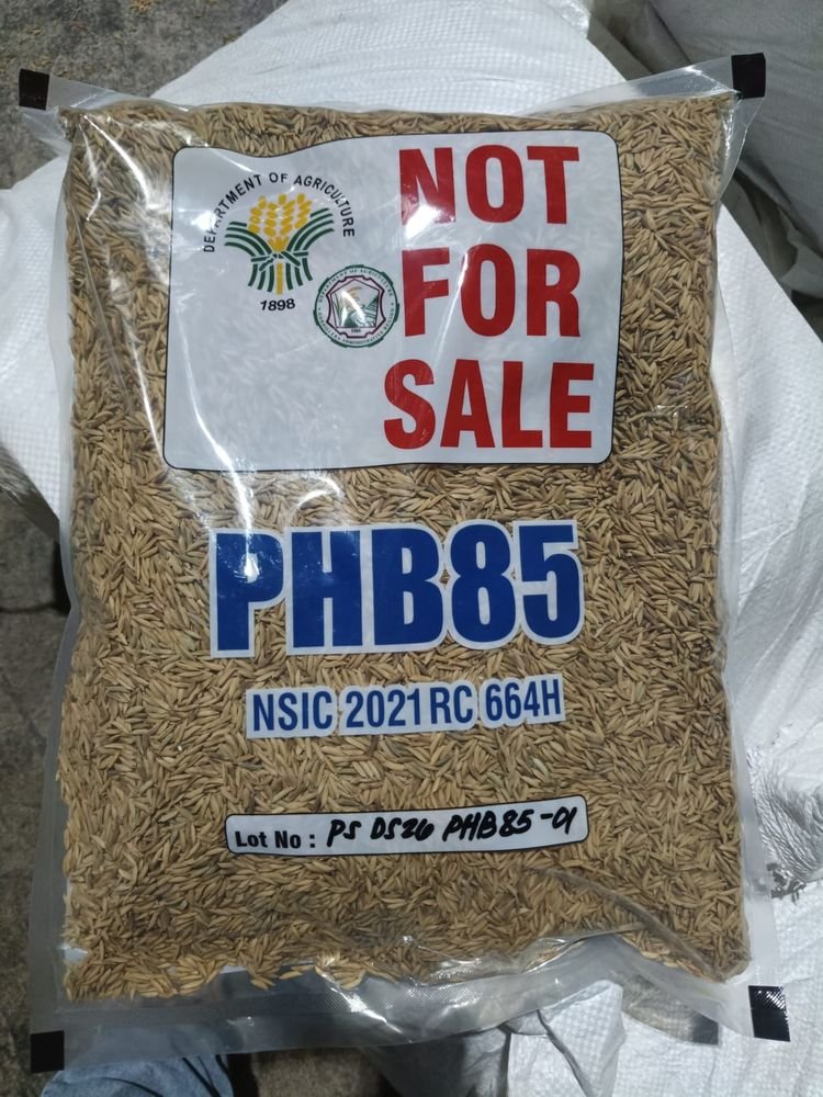 PHB85 hybrid rice seed packs