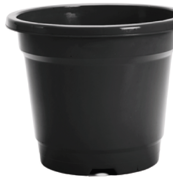 Basic Pots