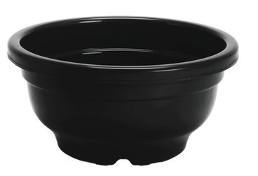 Bonsai Pots