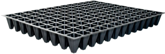 117 Square