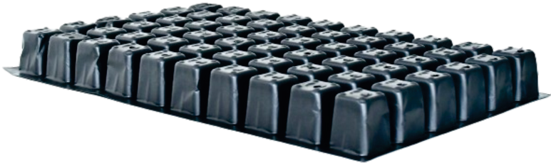 60 SQ (Sugarcane)